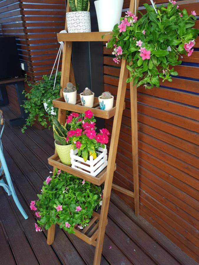 아그리젠토 La Terrazza Di Carolina B&B 외부 사진